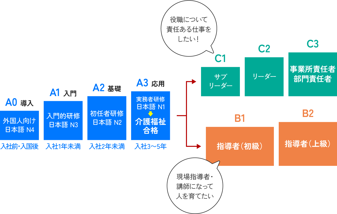 外国人向けの導入から介護福祉士合格までの資格取得ルートと、その後の指導者・管理者のキャリアパスを示した図。
